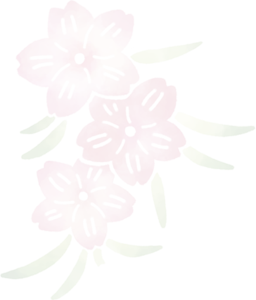 cherry blossoms